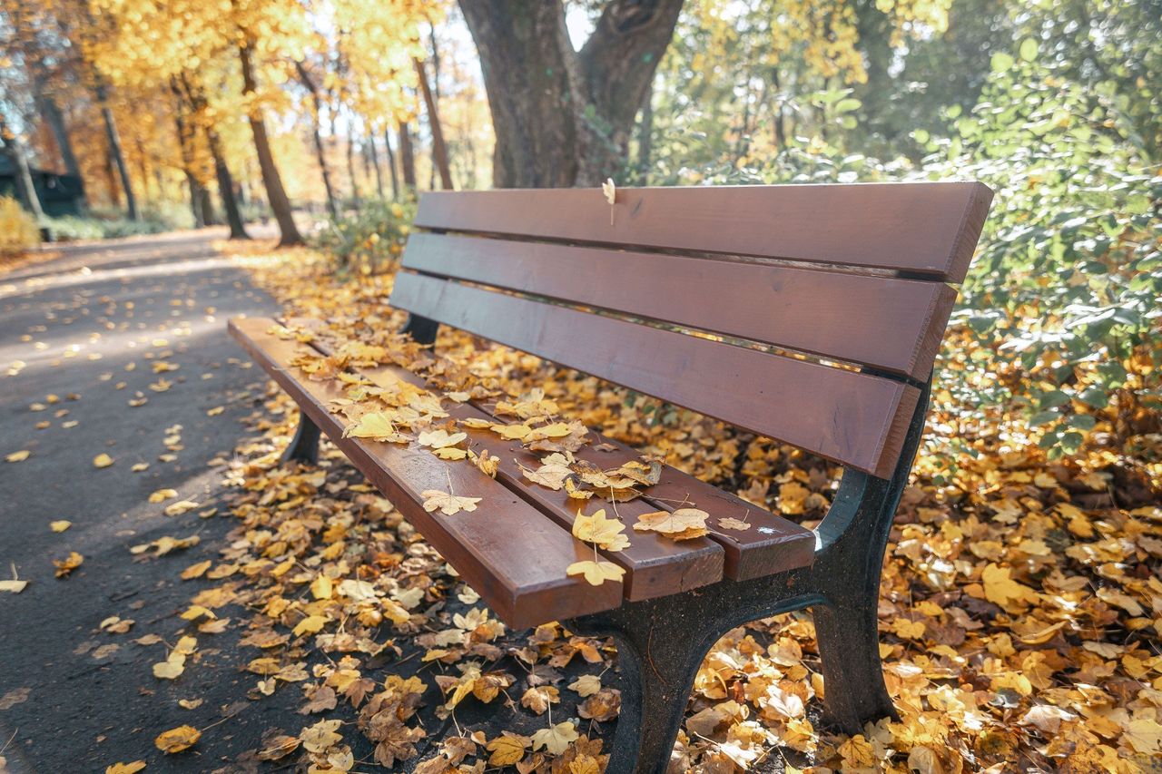 Pomorze: Najpierw pada i leje a potem... jest cieplej niż w maju. Pogodowe zaskoczenia