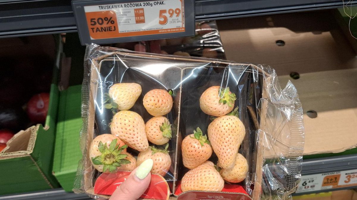 Różowe truskawki w Biedronce