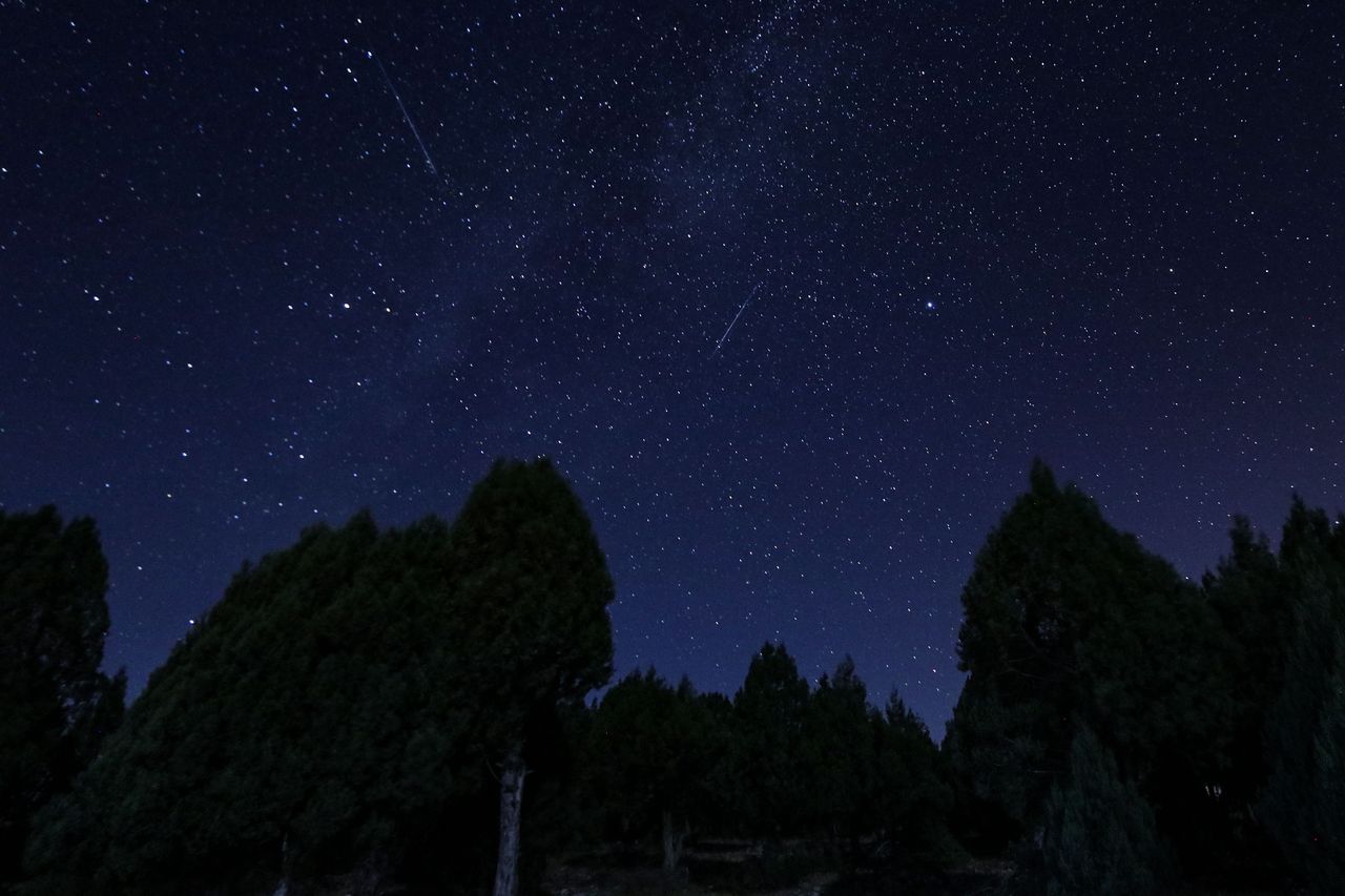 Zaczyna się tegoroczny deszcz Perseidów.