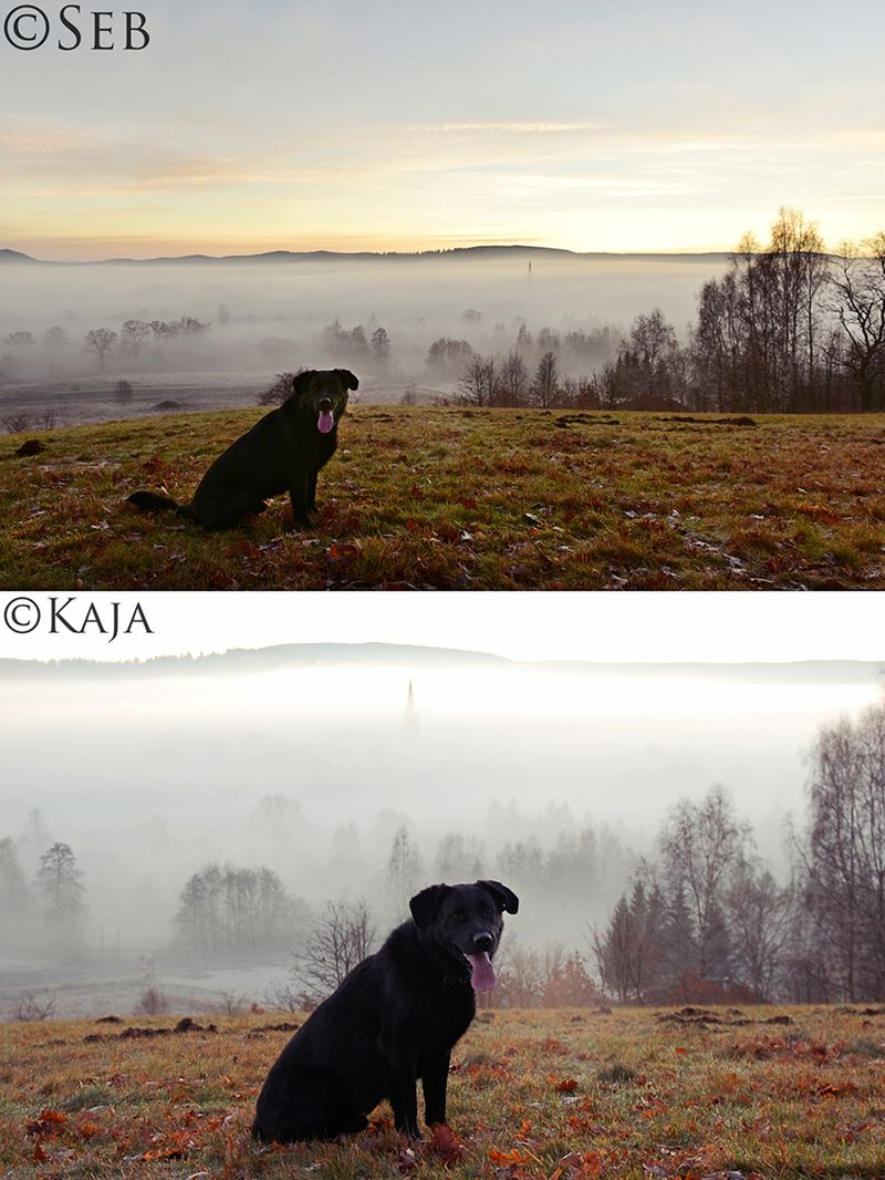 Fotograficzny pojedynek, który dał nadzieję fotografom i rodzicom z całego świata 12