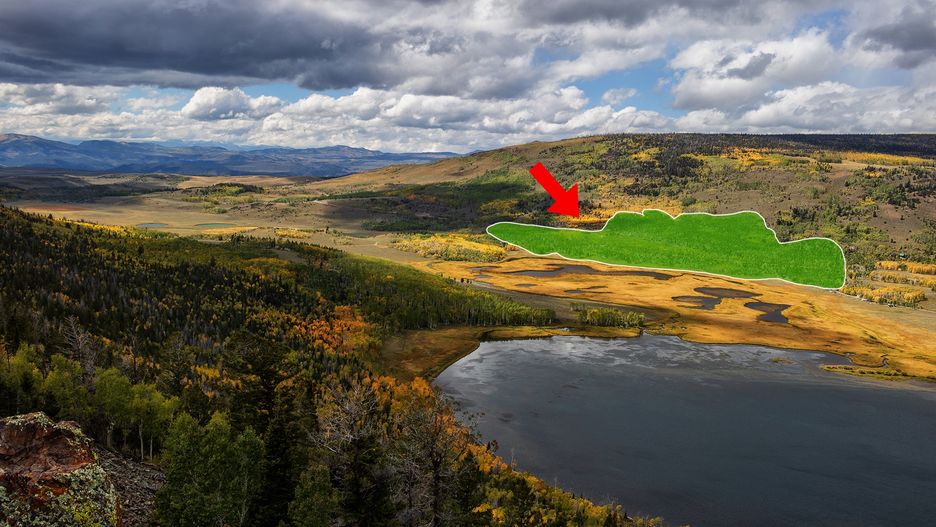 Obszar Pando w Utah (zaznaczony na zielono)