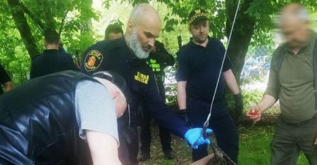 "Spacerował między blokami i podjadał kwiatki". Nietypowi goście na Bielanach