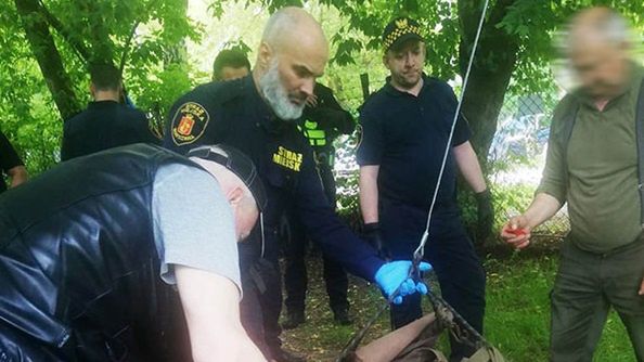 Warszawa. Po stołecznych ulicach spacerują dzikie zwierzęta. (fot. Straż Miejska)