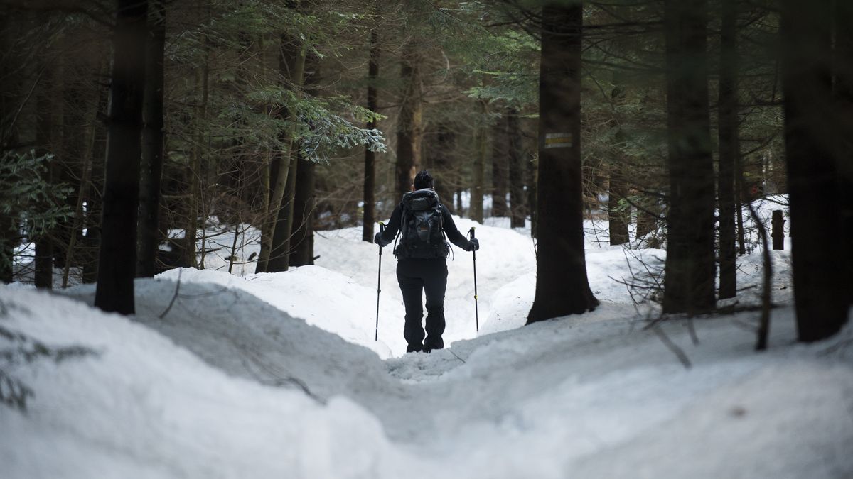 Bieszczady — warunki na szlakach
