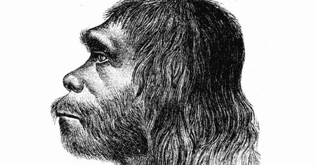 Neandertalczycy odziedziczyli geny od nieznanej populacji przodków współczesnego człowieka