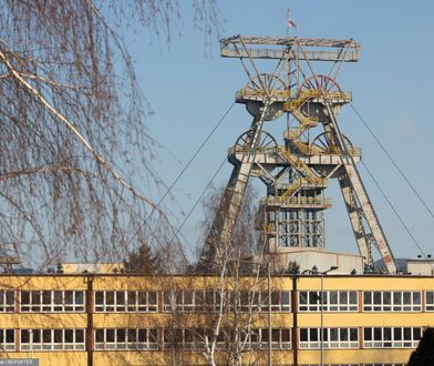 Składują pod ziemią niebezpieczne odpady. Dyrektor zaskoczony: "Nie wiem o tych śmieciach"