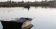 Rzeszów: Informacja o martwym dziku w Wisłoku. Nietypowa akcja WOPR