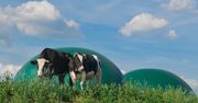 Polski biometan przyspiesza: Miliardowe pieniądze i projekt na skalę europejską