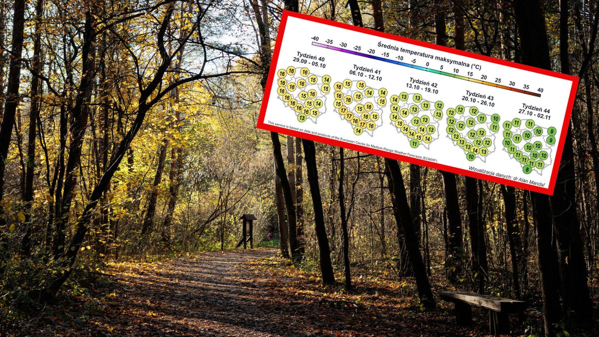 Jaka będzie pogoda w październiku?
