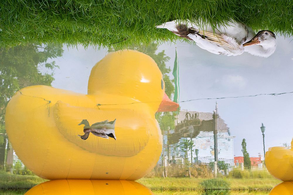 Fotografowanie jest jego największa miłością, jest sposobem medytacji, sprawia, że Tavepong może odreagować stresy codzienności. W swojej regularnej pracy często podróżuje w dalekie zakątki świata, więc fotografia uliczna stała się dla niego oczywistą sprawą – może robić zdjęcia zawsze i wszędzie, temat leży na ulicy. I to dosłownie.