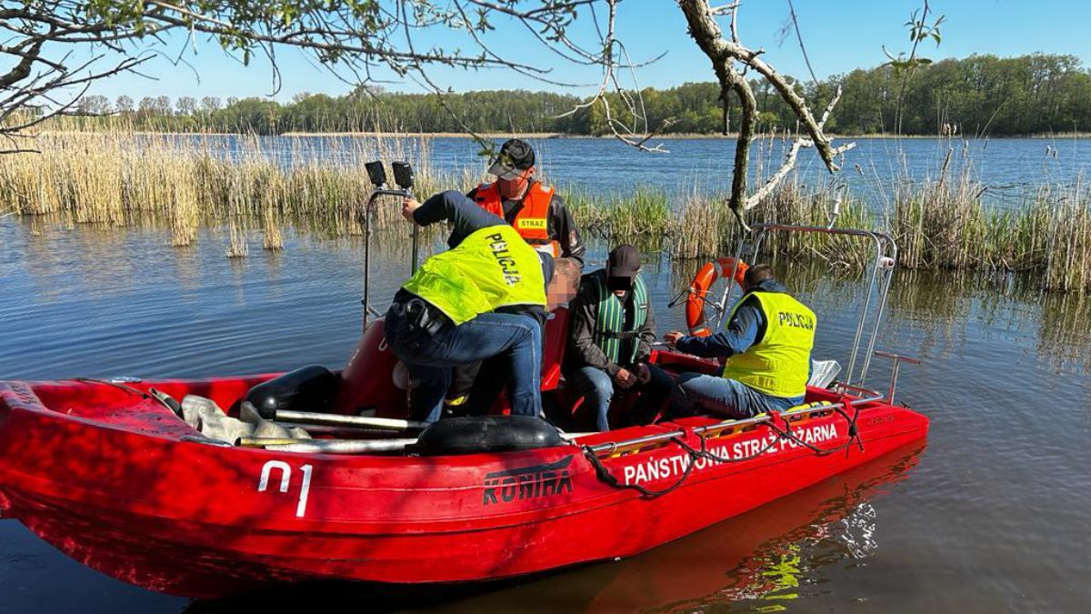 Dwaj mężczyźni zniszczyli sto gniazd i zabili niemal trzysta piskląt kormoranów