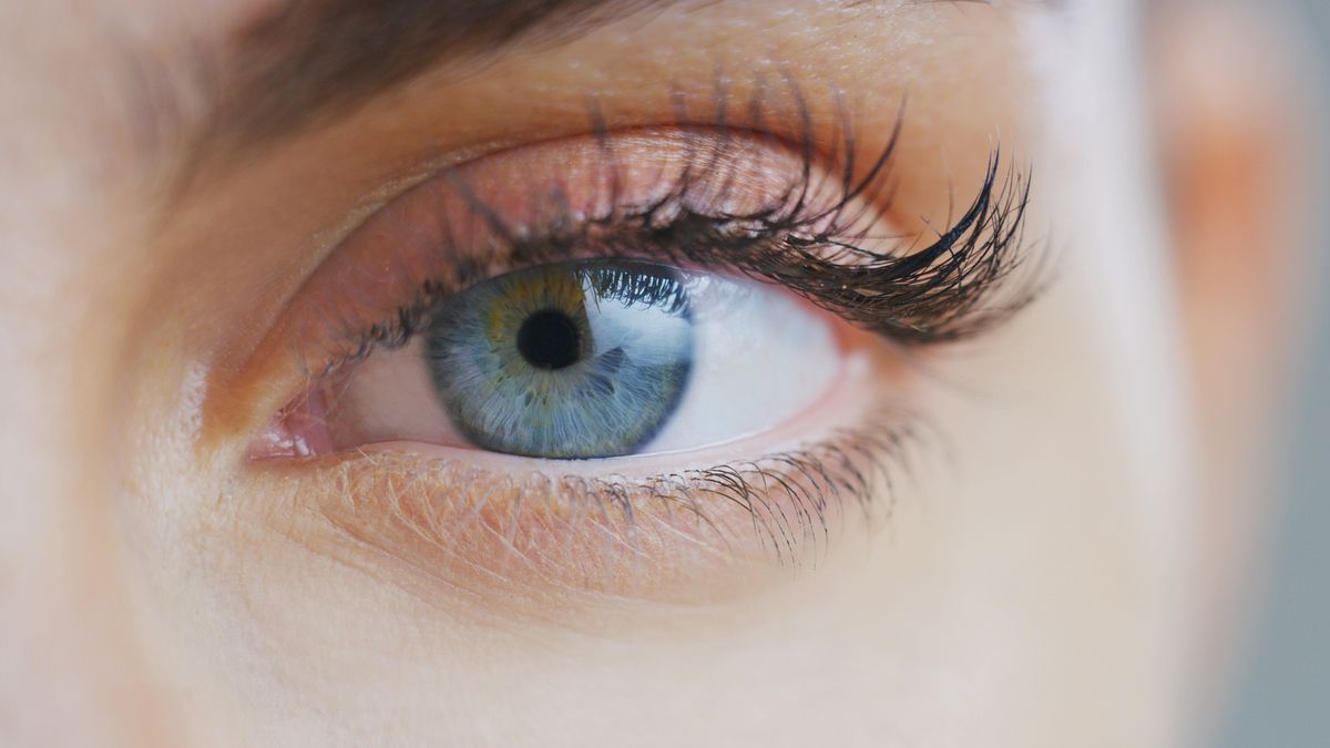 age, anti wrinkle, ayurveda, beauty, blue, care, cataract, color, complexion, connection, cosmetics, cream, cure, elegance, eye, eye shadow, eyeball, eyebrow, eyelash, eyelashes, eyesight, fashion, female, fresh, glamour, halogen, health, lifting, makeup, mascara, medical, model, moisturizer, natural, oculist, optical, people, person, pupil, rejuvenation, serum, sight, surgery, visage, vision, wellness, woman, women, wrinkles, young