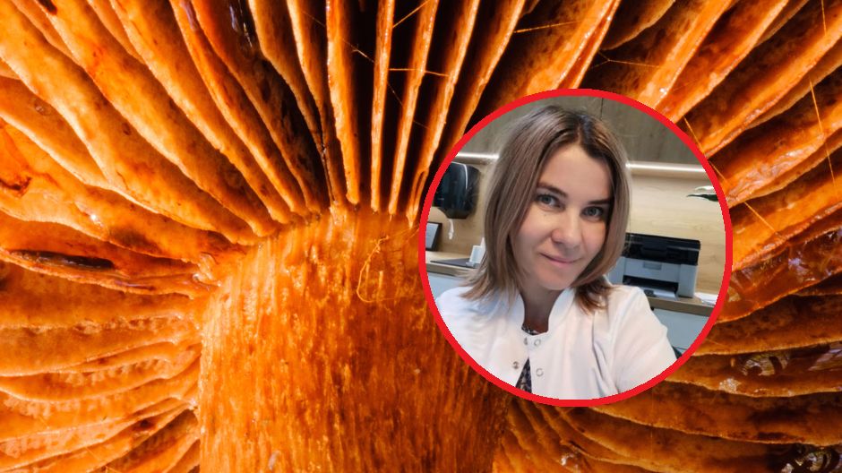 Lekarka ostrzega przed zatruciem zasłonakiem rudym. Może doprowadzi do niewydolności nerek