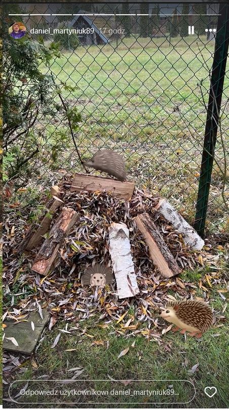 Daniel Martyniuk zamieścił nowe nagranie w sieci 