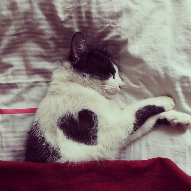 Zobaczcie jakie zdjęcia można zrobić smartfonem. Galeria nagrodzonych prac 3