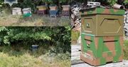 Polkowice. Kradli ule z pszczołami. Udało się odzyskać mienie warte ponad 16 tys. zł.