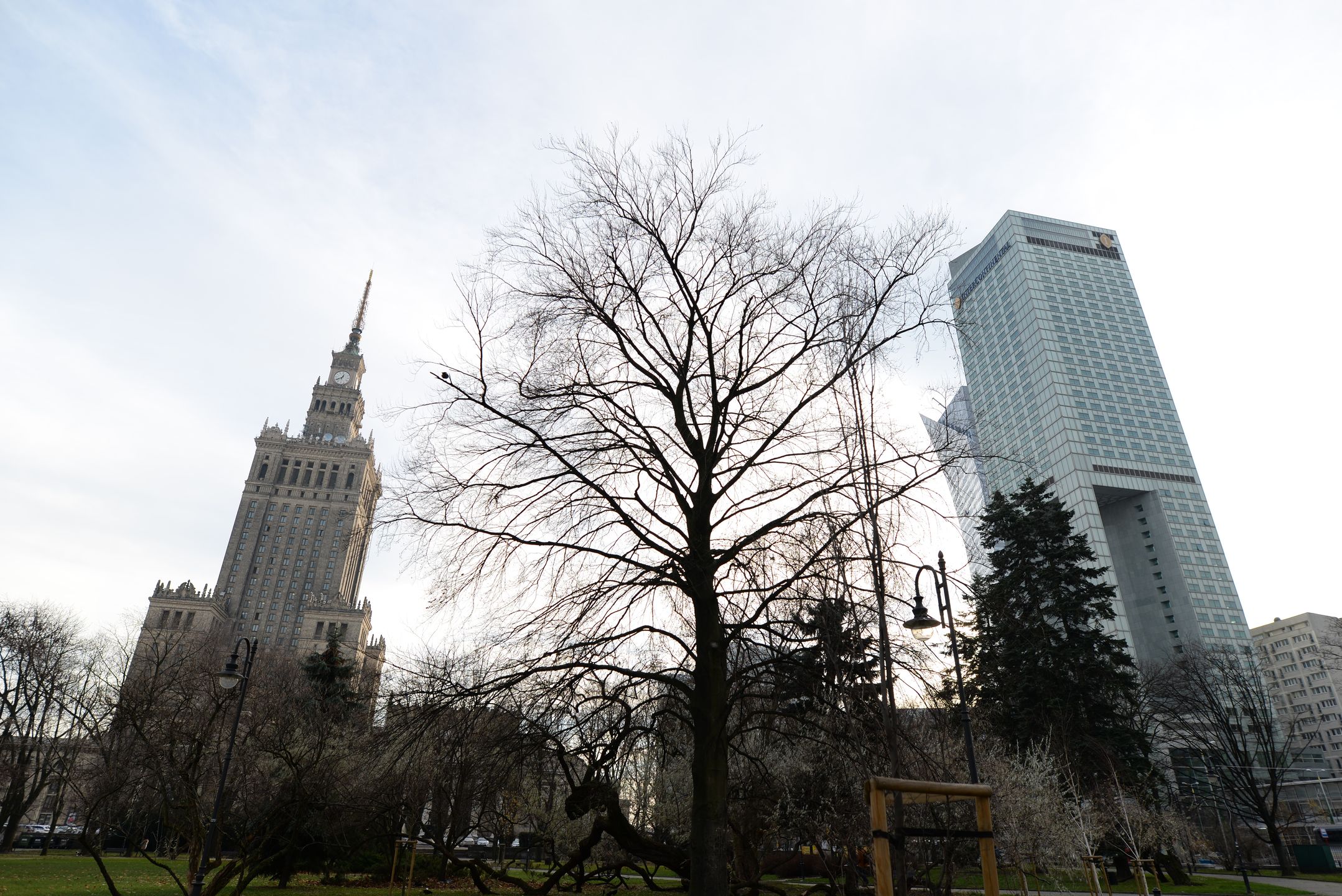 Sigma 20 mm F1.4 DG HSM - zdjęcia przykładowe 59