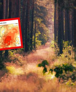 Upały nie odpuszczą. Jesień może być cieplejsza niż zwykle