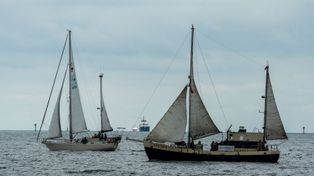 Baltic Sail 2025 z wielką paradą. Żaglowce, jachty i inne jednostki
