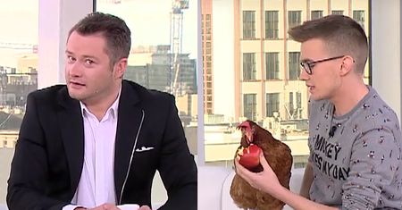 Chłopak z kurą w "Dzień Dobry TVN": "Fatima ma swój profil na FB, ponad 12 tysięcy fanów!"