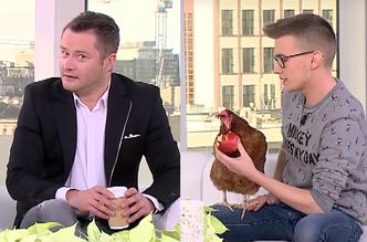 Chłopak z kurą w "Dzień Dobry TVN": "Fatima ma swój profil na FB, ponad 12 tysięcy fanów!"