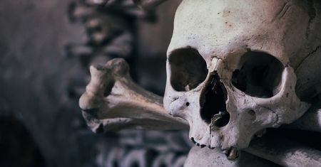 Odkrycie w Chinach może przepisać historię człowieka. Czaszka sprzed miliona lat burzy dotychczasowe teorie