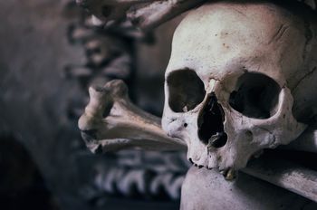Odkrycie w Chinach może przepisać historię człowieka. Czaszka sprzed miliona lat burzy dotychczasowe teorie