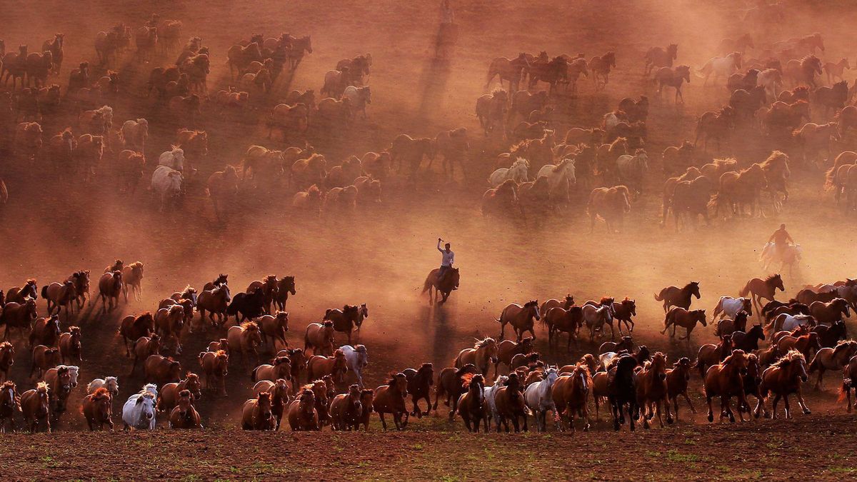 Największy konkurs fotograficzny świata na finiszu, a już zgłoszono mnóstwo świetnych zdjęć 1