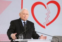 PiS w czołówce sondażu. "Jeśli wygramy wybory, spowodują rozpad"