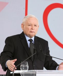 PiS w czołówce sondażu. "Jeśli wygramy wybory, spowodują rozpad"