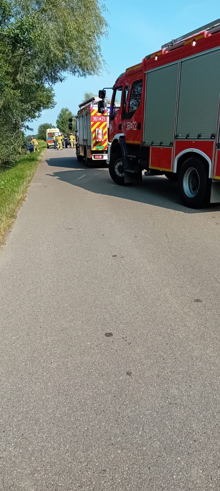 Zderzenie z sarną
