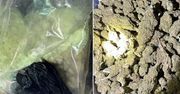 Rozpracowywali dilera. Znaleźli u niego 10 kg narkotyków