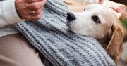 Sieradz: Dogoterapia w Miejskim Ośrodku Pomocy Społecznej