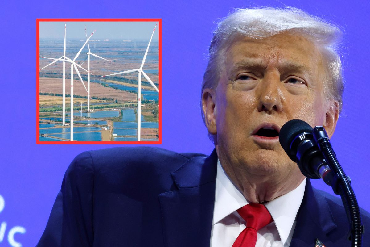 "Nie znalazłem wiatraków w Chinach". Badania przeczą teorii Donalda Trumpa