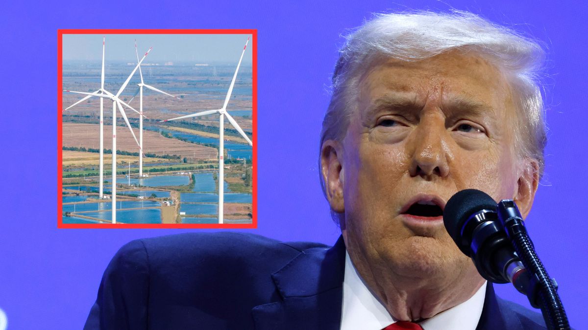 Badania przeczą teorii Trumpa ws. chińskich farm wiatrowych.