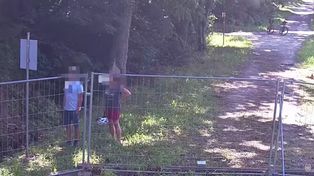 Niemieccy turyści pojechali rowerami pod granicę. Robili zdjęcia Rosji