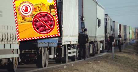 Wstrzymano 200 ton produktów z Ukrainy. Tylko w ciągu czterech dni