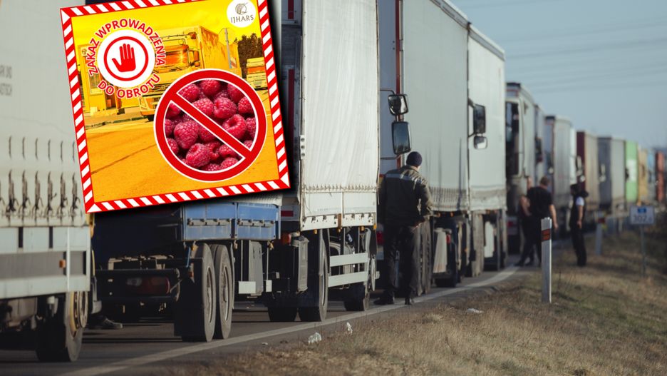 Wstrzymano 200 ton produktów z Ukrainy. Tylko w ciągu czterech dni