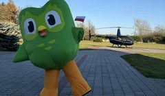 Duolingo promuje się w Polsce. "Kolejny krok w budowaniu love brandu"