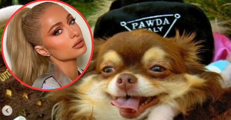 Paris Hilton w żałobie. Podzieliła się smutną wiadomością