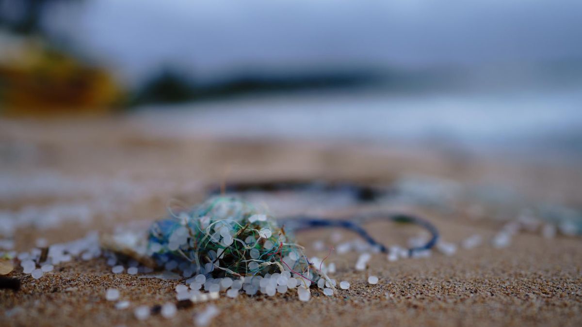 Jak mikroplastik wpływa na płodność?