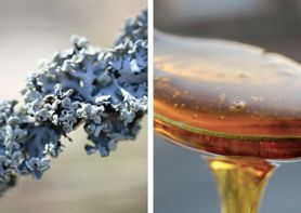 Syrop islandzki - jak działa i kiedy warto go stosować