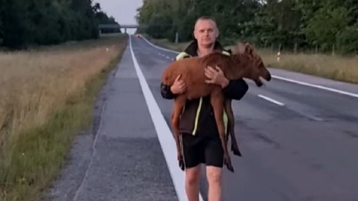 Mały łoszak trafił w ręce działaczy organizacji prozwierzęcej