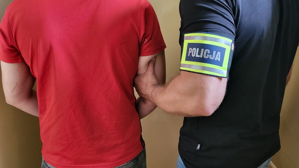 policja