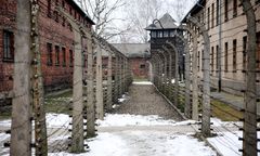 80 lat temu wyzwolono obóz. Tak wyglądały ostatnie dni Auschwitz