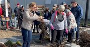 Radomsko: Kilka tysięcy sadzonek drzew dla mieszkańców. Obierz drzewko w ramach akcji "Zielone Radomsko"