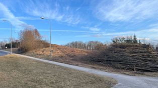Gorzów Wlkp.: Wycinka drzew na Dekerta. Szpital wybuduje farmę fotowoltaiczną