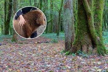 Wideo z Irlandii wywołało zamieszanie. "Chryste, to nie może być to"