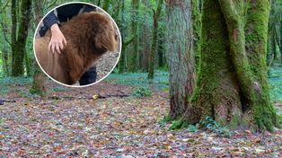 Wideo z Irlandii wywołało zamieszanie. "Chryste, to nie może być to"