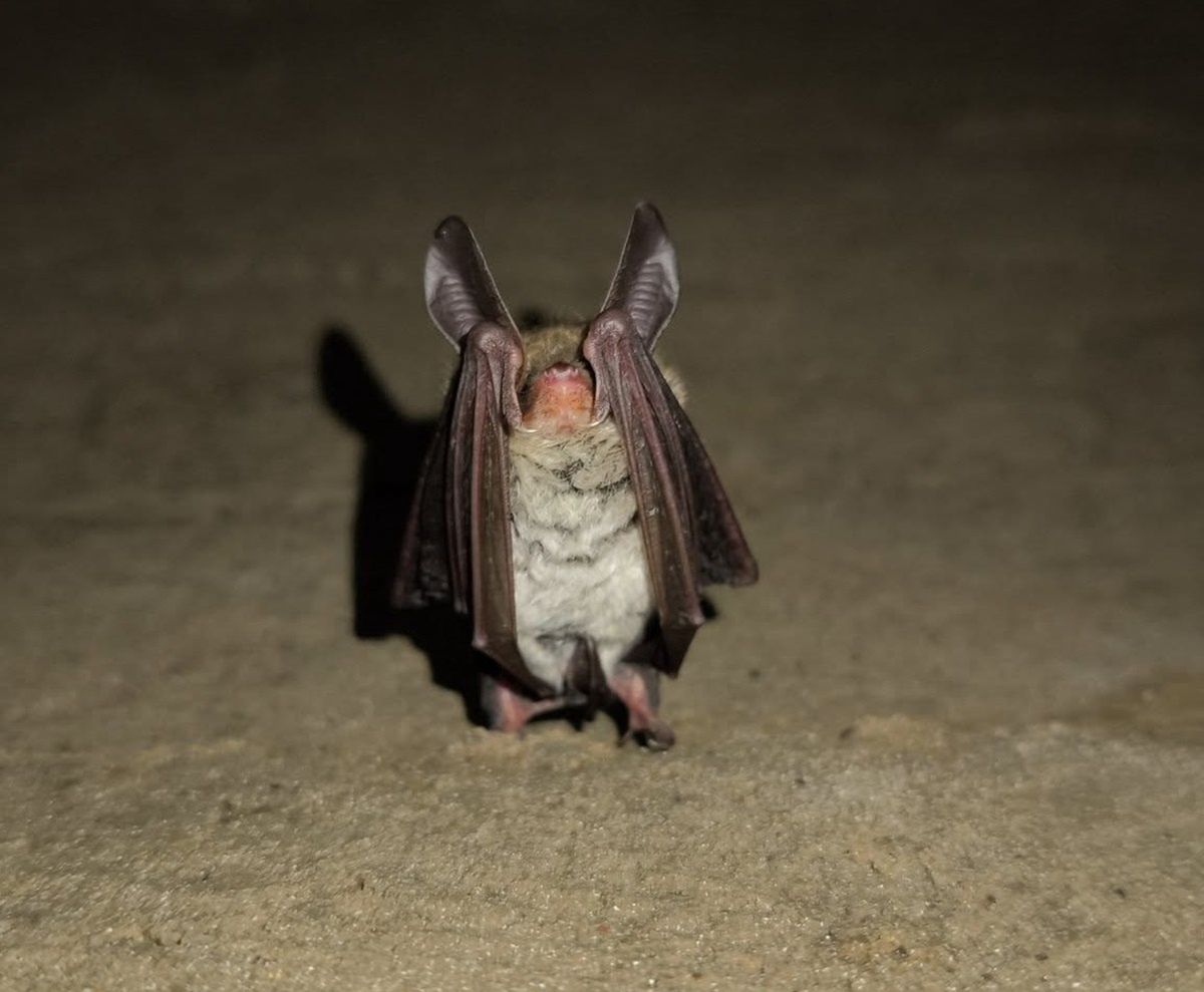 Mają 100 proc. pewności. Odkrycie w Parku Narodowym